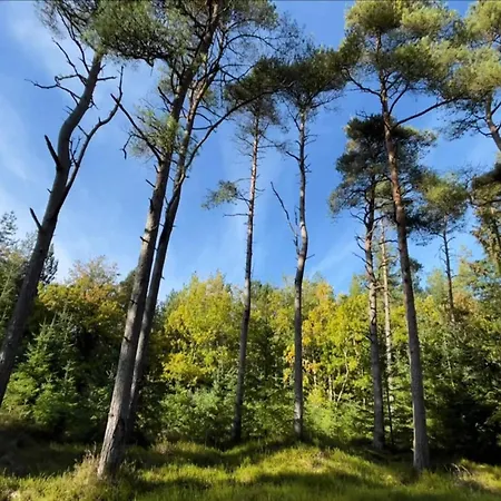 10 Person In Fjerritslev-by Traum Σπίτι διακοπών *
