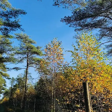 Σπίτι διακοπών 10 Person In Fjerritslev-by Traum *