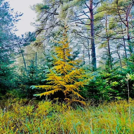 10 Person In Fjerritslev-by Traum Torup Strand